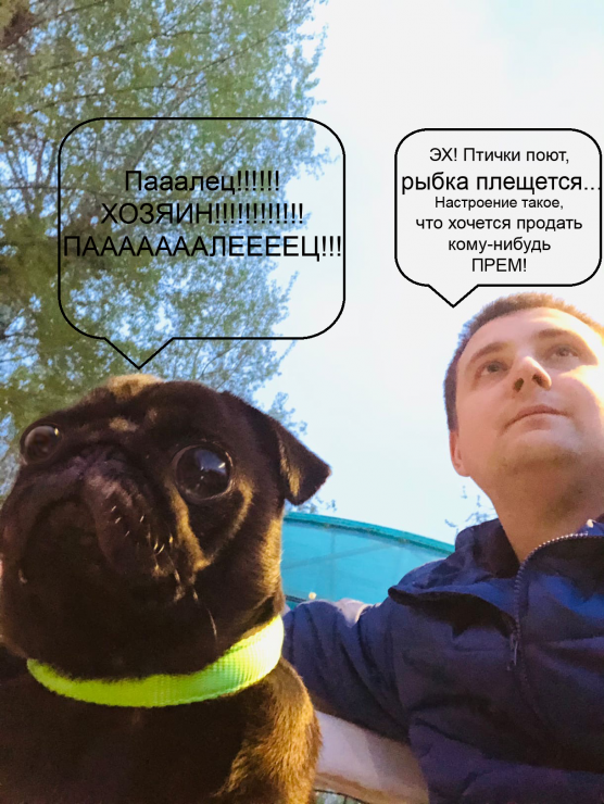 Хозяин — копия.png